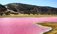 از سرخی لیپار در دل سیستان و بلوچستان تا سینه سوزان هورالعظیم در دامن خوزستان تو را می‌خواند/ تالاب‌های ایران در شرف مرگ، در انتظار معجزه